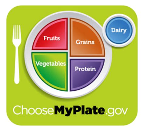 Food Pyramid Servings Sizes