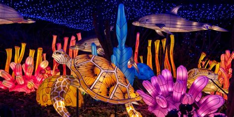 Bronx Zoo Holiday Lights - Travel Journal Mag