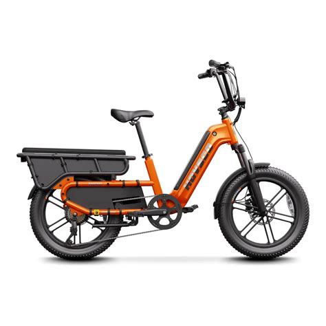 What Is the EUY Fat Electric Bike? A Detailed Guide – HOVSCO