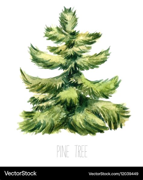 Watercolor christmas tree Royalty Free Vector Image