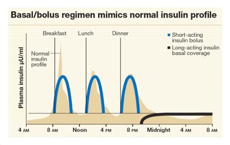 Basal Insulin Chart