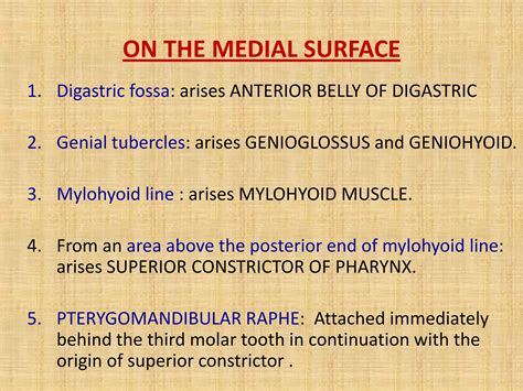 Mandible | PPT