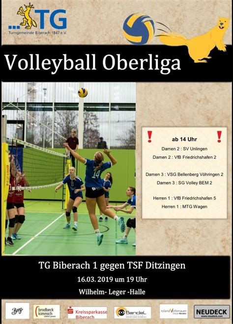 Den Positiven Lauf Fortsetzen TG Biberach Volleyball