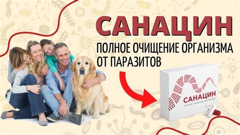 Антипаразитарные капсулы САНАЦИН купить, цена, отзывы. САНАЦИН от ...