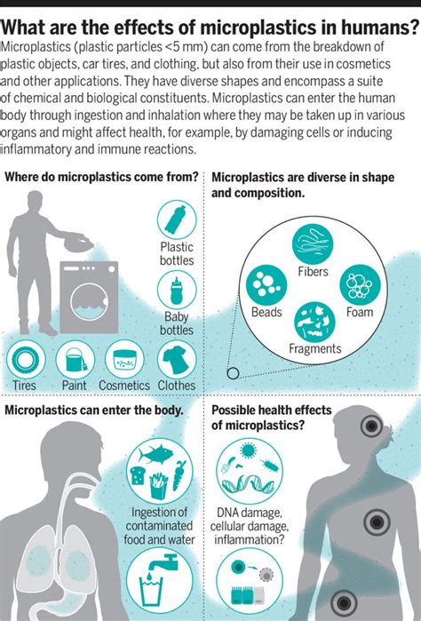 5 Simple Tips On How To Avoid Microplastics Daily — Sustainable Review