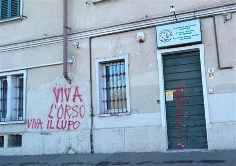 Viva L Orso Viva Il Lupo Imbrattati I Muri Della Sede Della Lega Di