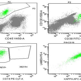 Multi Parameter Flow Cytometric Analysis Showing Cytoplasmic