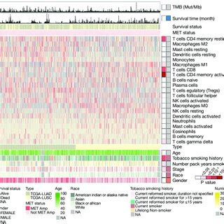 Landscape Of The Immune Cells And Clinical Features In Nsclc Tcga