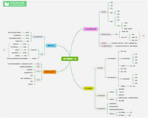 初中生物思维导图全套 24张生物知识框架图整理知犀官网