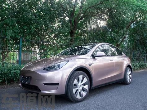 特斯拉Model Y 冰莓粉改色膜 效果图 车膜网