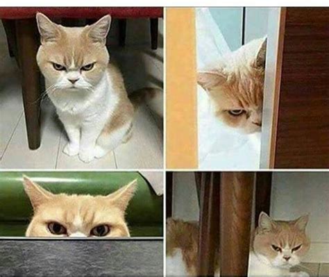 Year Old Man Caught Having Sex With Neighbors Year Old Daughter In Toilet Crime