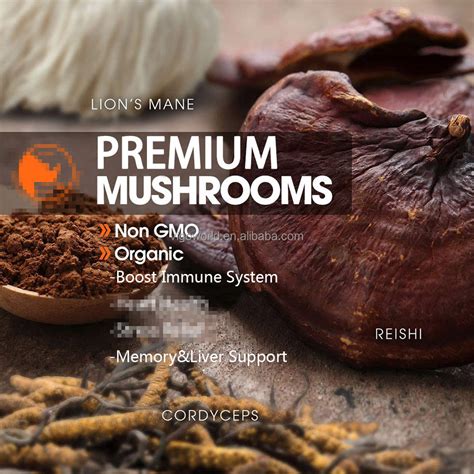 Premium Mushroom Complex Immune System Brain Booster Nootropic