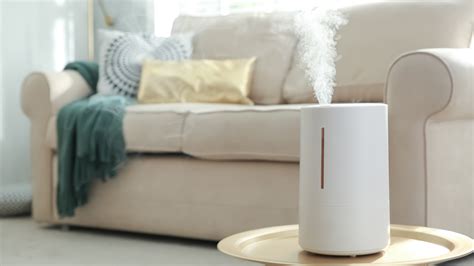 Do Humidifiers Help With Congestion Live Science