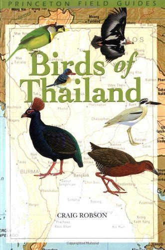 Amazon Birds Of Thailand Princeton Field Guides Robson Craig