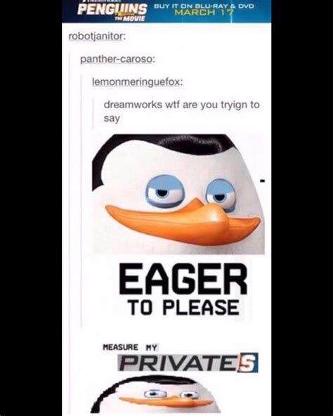 Smoke Pot Once And Now There Is A Fuck Load Of Penguins Of The Madagascar Memes Meme Subido