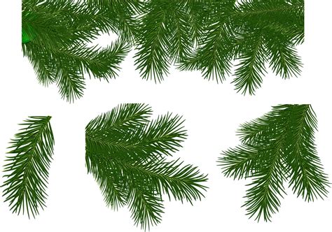 Веточки елки - Новый год - Картинки PNG - Галерейка