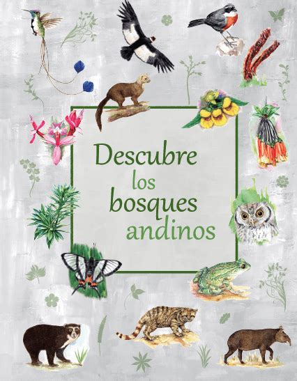 Descubre Los Bosques Andinos Bosques Andinos