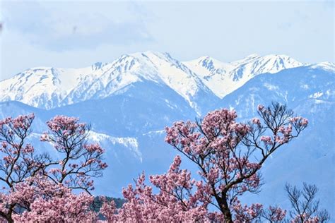 takahiko  id photohito