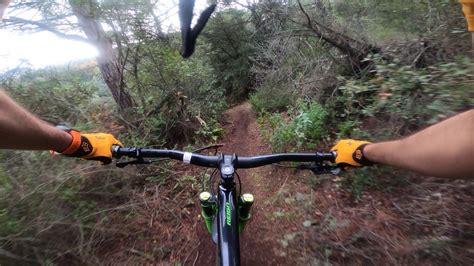 Chill Trails AVE CESAR Alella El Maresme Tropical Barcelona