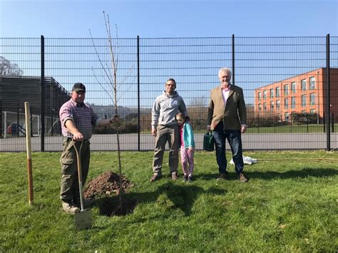 Hampden Park Eastbourne SAKURA CHERRY TREE PROJECT