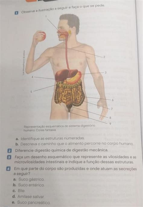 1 Observe A Ilustração A Seguir E Faça O Que Se Pede A Identifique