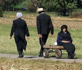 Yahoo Image Search | Amish culture, Amish, Amish country