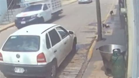 Hombre Lanza Perro A Cazo Con Aceite Hirviendo Lo Buscan Video El