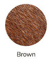 Teacup Chihuahua: Dog Breed Guide - Dog Academy