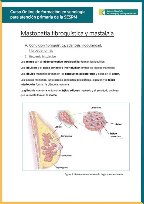 Mastopatia Fibroquistica Mastopatía fibroquística y mastalgia A