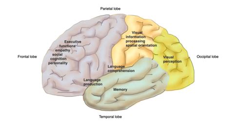 ACCESS Dementia - CAMPUS - Understanding dementia