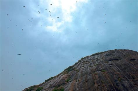 Monumento Natural das Ilhas Cagarras RJ conheça