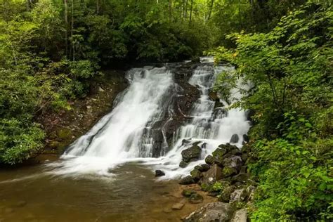 Hiking The Elkmont Nature Trail In The Smoky Mountains