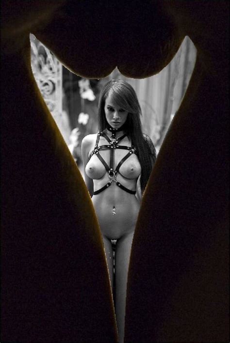 Search And Destroy Porn Pic