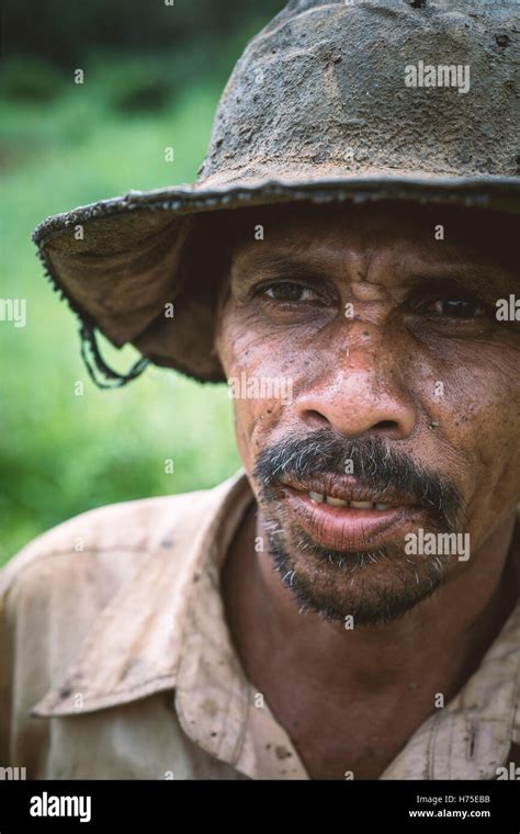 Gem Mining, Sri Lanka Stock Photo - Alamy