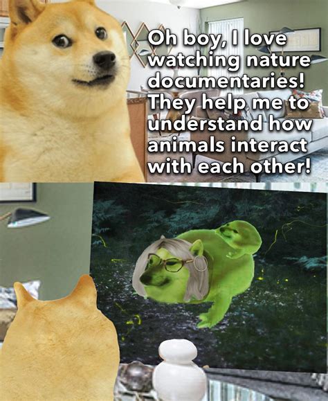 Le enthusiasm for nature documentaries has arrived | /r/dogelore