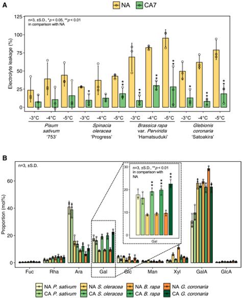 Structural Changes In Cell Wall Pectic Polymers Contribute To Freezing