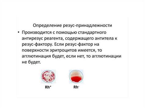 Группы крови и резус-фактор. Методы определения и совместимость ...