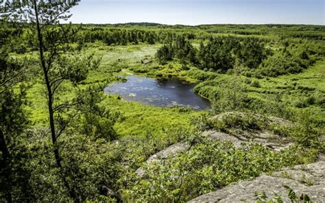 Ontario Nature - 3840x2400 Wallpaper - teahub.io