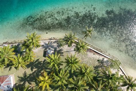 Foto Apa Itu Festival Marabose Di Halmahera Selatan Berikut