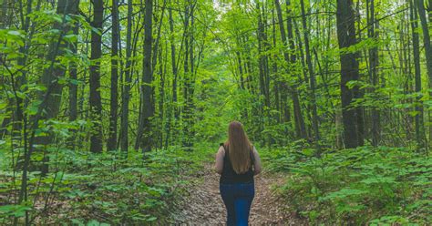 Journ E Nationale De Larbre Plus De Arbres De Gros Calibre