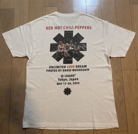 やや傷や汚れありRed Hot Chilli Peppersレッドホットチリペッパーズ UNDER R アンダーアール Tシャツ ホワイト