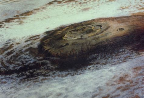 20 Surprising And Shocking Facts I Learned This Week