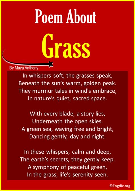 10 Best Short Poems About Grass Engdic