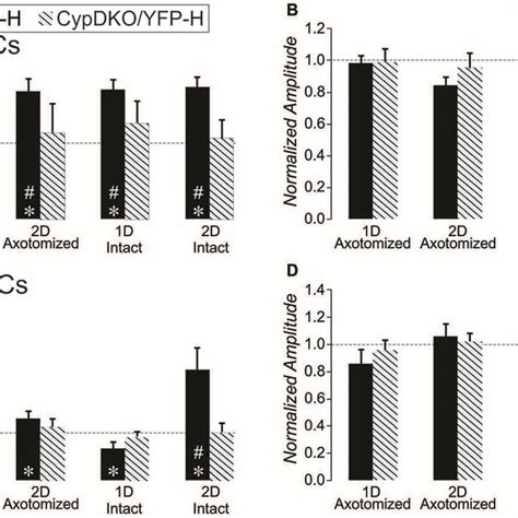 Action Potential Ap Firing Pattern Subtypes Of Yfp Pyramidal Neurons