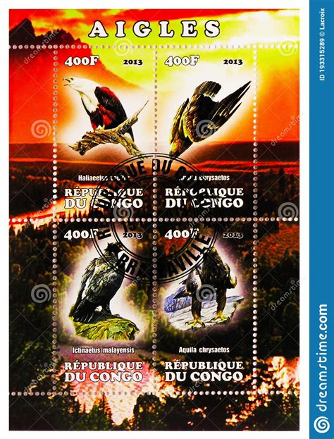 Four Postage Stamps Printed In Congo Shows Eagles Serie Circa 2013