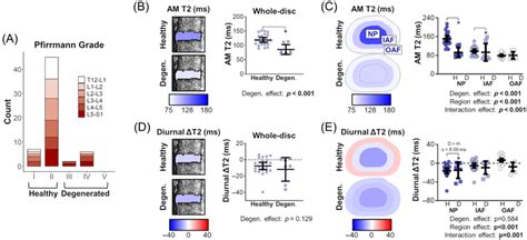 Degeneration‐related Differences In Disc T2 Relaxation Times At The Download Scientific Diagram