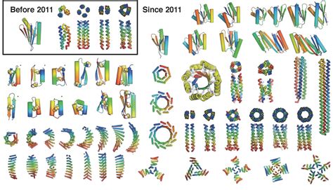 The Coming Of Age Of De Novo Protein Design Baker Lab