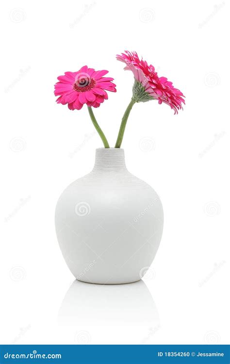 Two Pink Gerbera Flowers In White Vase Stock Photo - Image: 18354260