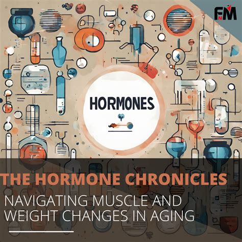 How Your Hormones Affect Muscle Gain and Fat Loss the Older You Get ...