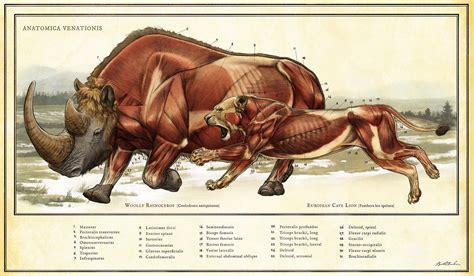 Anatomy of the Hunt Fine Art Print - Etsy